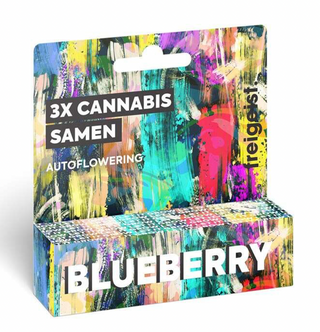 Freigeist Seeds - Autoflowering Blueberry - 3 Seeds