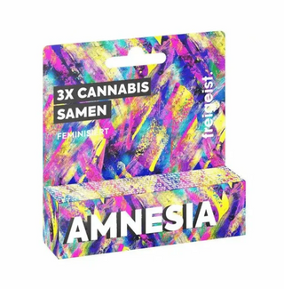 Freigeist Seeds – "Amnesia" Feminized – 3 Seeds