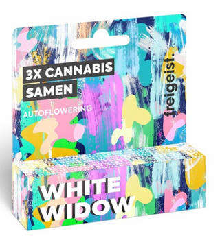 Freigeist seeds - Feminizada "White Widow" 3