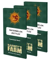 BARNEY'S FARM - Watermelon Zkittlez  - 3 seeds