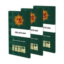 BARNEY'S FARM - Gelato #45  - 3 seeds